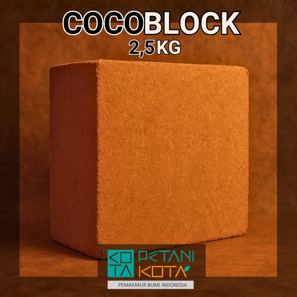 cocoblock 2,5kg