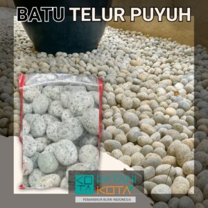 batu puyuh