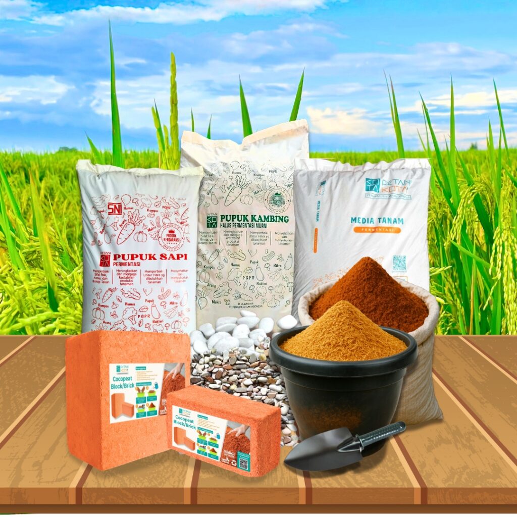 desain tanpa judul (33)