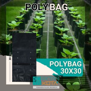 polybag 30x30cm