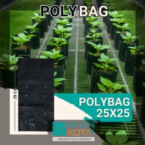 polybag 30x30cm