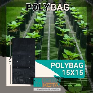 polybag 30x30cm