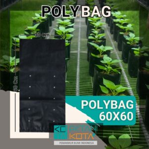 polybag 30x30cm