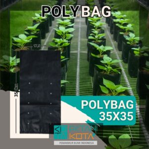 polybag 30x30cm