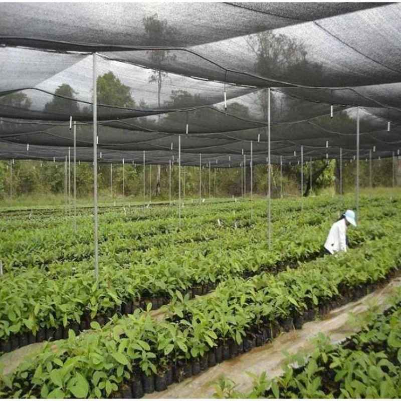 no brand jaring paranet 75 import per meter shading net anti uv full03 vnz3gb5p