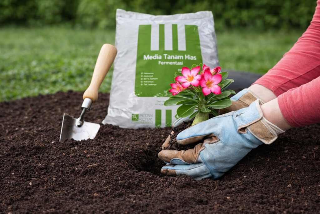 chatgpt image mar 6, 2026, 02 44 07 pm