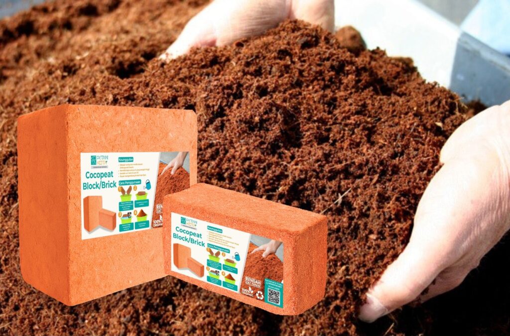 green and yellow illustrative minimalist eid mubarak greeting card 2