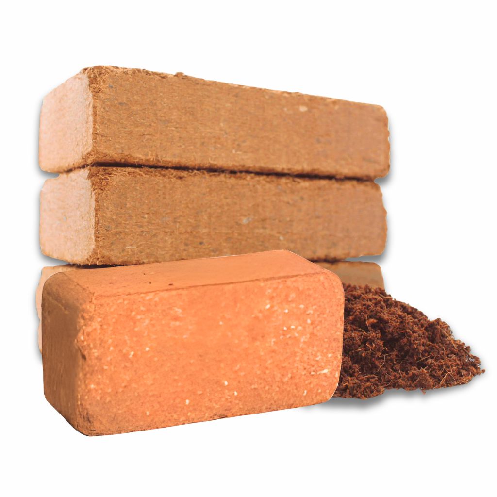 (ganti nomer) dari cover kelapa gading harga offline (42)