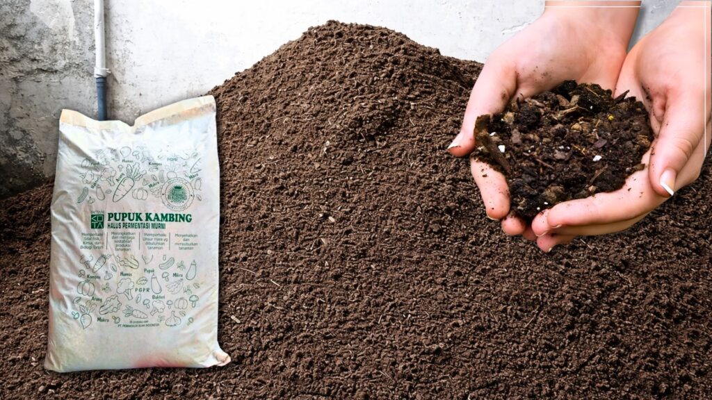 tingkatkan resolusi gambar ini menjadi 4k